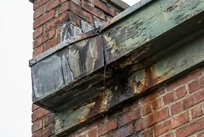 Decay, found early
